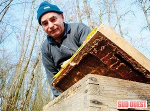 Maurice Coudoin veille sur ses abeilles, mais craint pour leur avenir. (Photo J.D.)